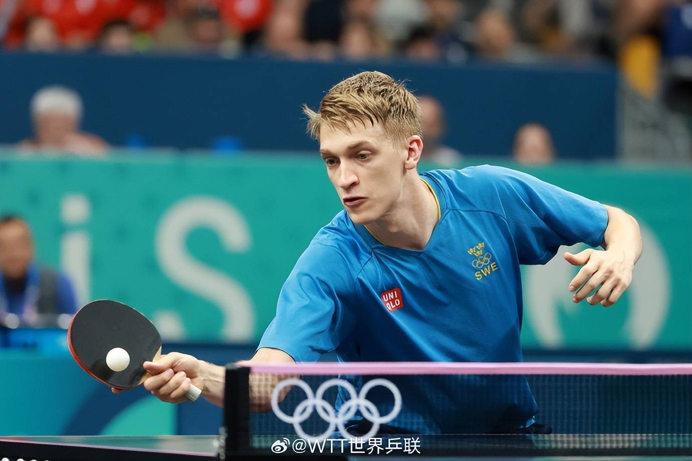 德国乒乓球队险胜韩国乒乓球队，波尔惊艳世界的简单介绍