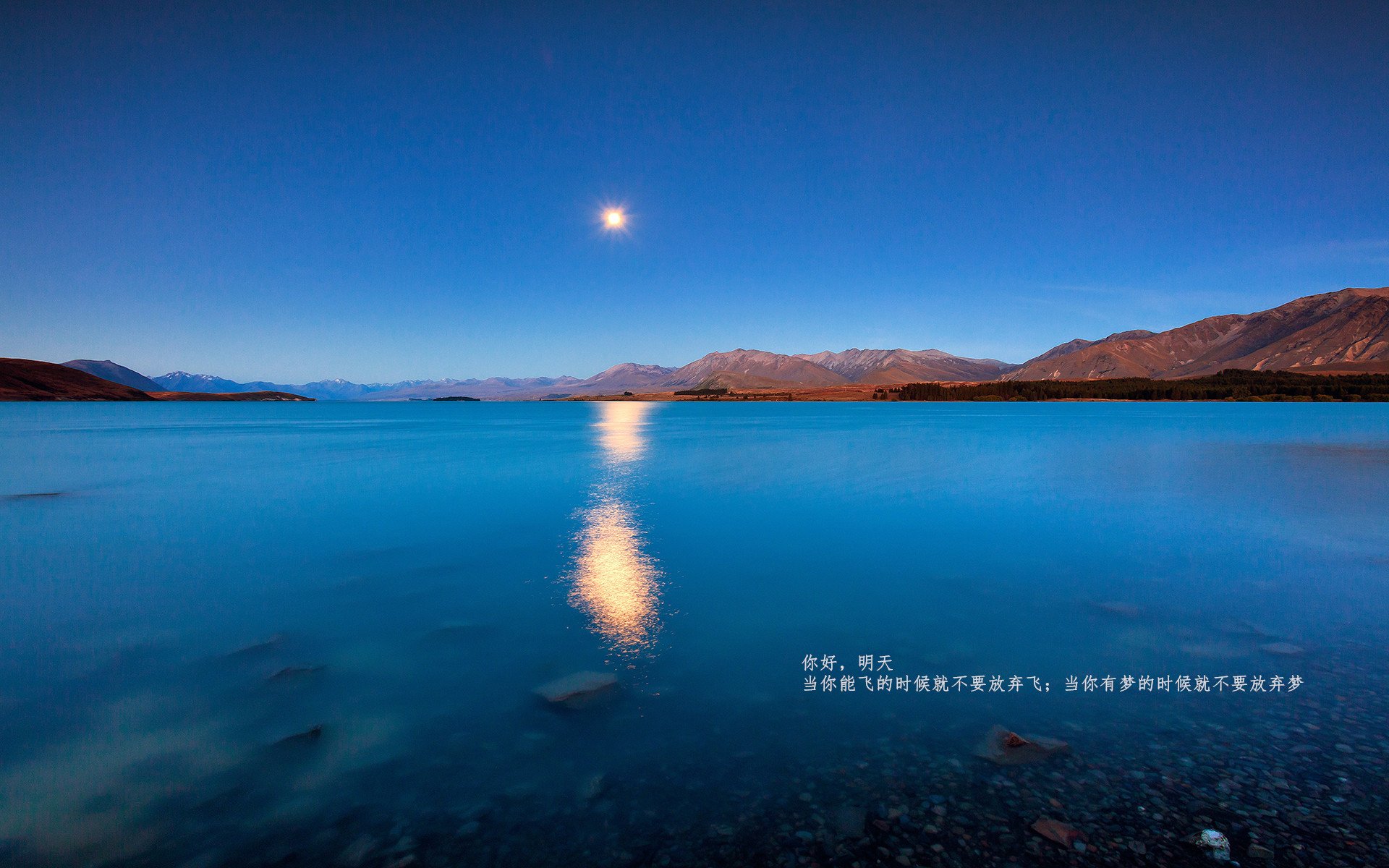 鏖战·灰烬·凤凰,辛杜如何扛起全队,成就法国羽毛球的史诗逆转