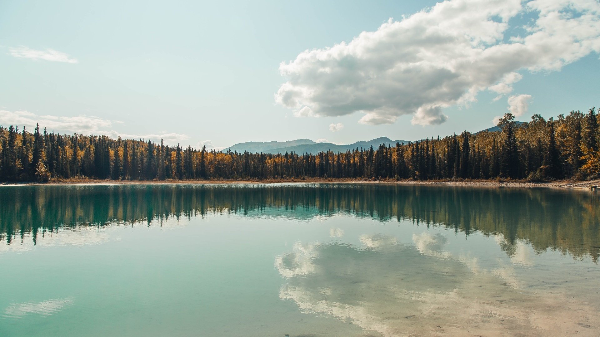 一人扛鼎，日本队完胜葡萄牙！张本智和宣告乒乓新纪元