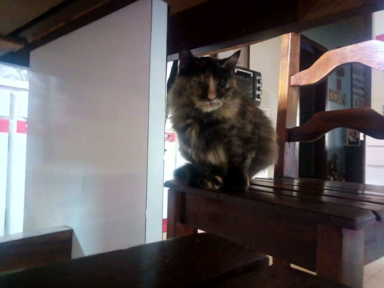 德甲争冠焦点战中的凯尔特人强压老鹰启示,跨越运动的竞技哲学