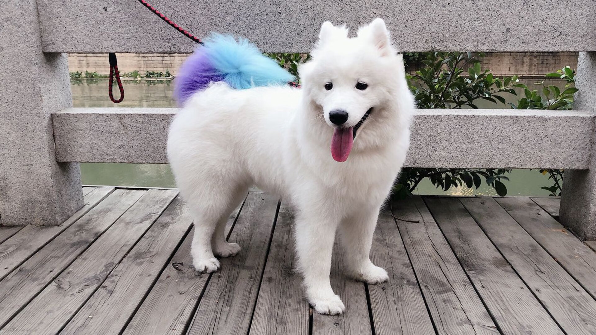 生涯助攻王+关键断!保罗一战封神,步行者险胜开拓者却成配角