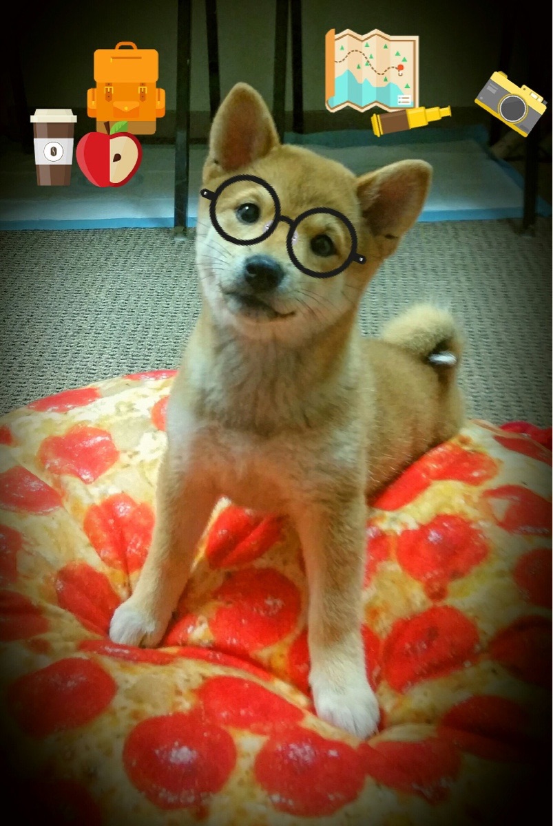 当迦太基雄狮踏碎维京战船，奥纳纳，扼守胜利之门的暗夜猎手