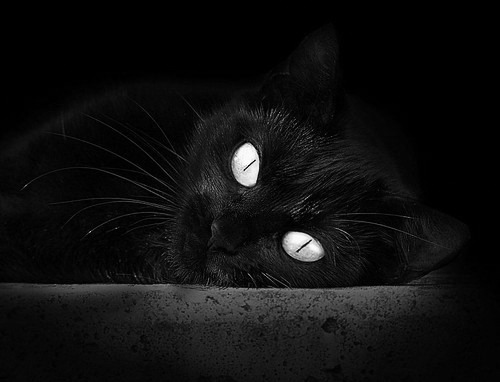 跨界交锋!欧文绽放完美艺术,奇才险胜北京队引轰动