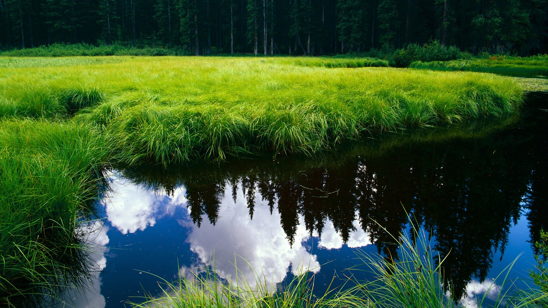 F1新赛季揭幕战焦点战，澳大利亚车手打穿尼斯赛道，黑马崛起引爆全球！