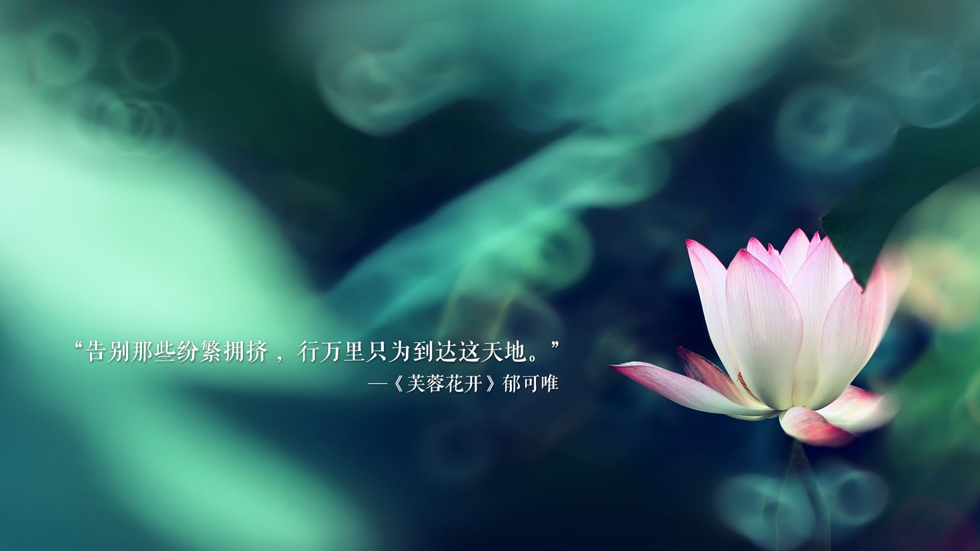 以钢筋水泥的节拍起舞,霍勒迪如何让灰熊的节奏交响乐击穿骑士防线