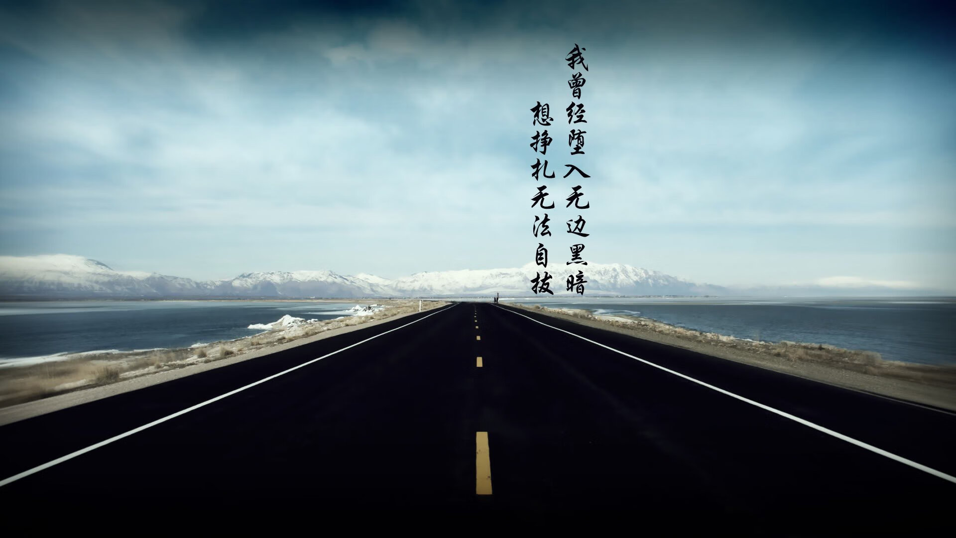 孤星闪耀,2026世界杯B组血战中,范戴克用铁血与锐刃定义唯一性