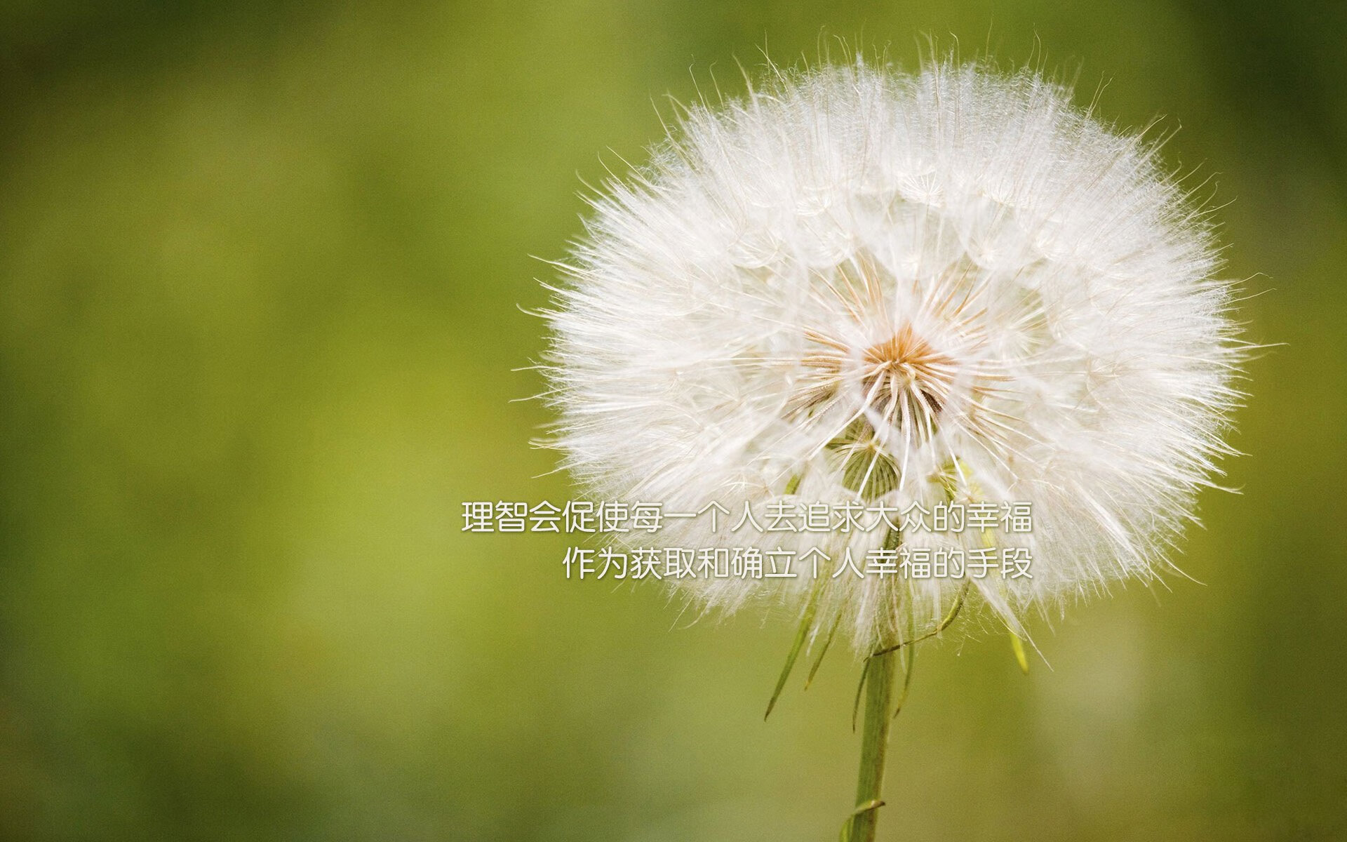 冰火九重天,2026世界杯豪门对决,德国战车碾碎南美坚冰,范戴克一剑封喉书写橙色挽歌