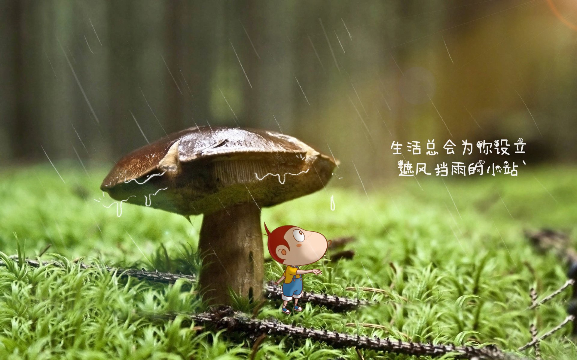 当黑马遇见大象,2026世界杯A组文明碾压背后的足球新秩序